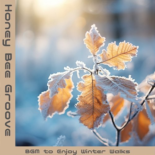 Bgm to Enjoy Winter Walks Honey Bee Groove