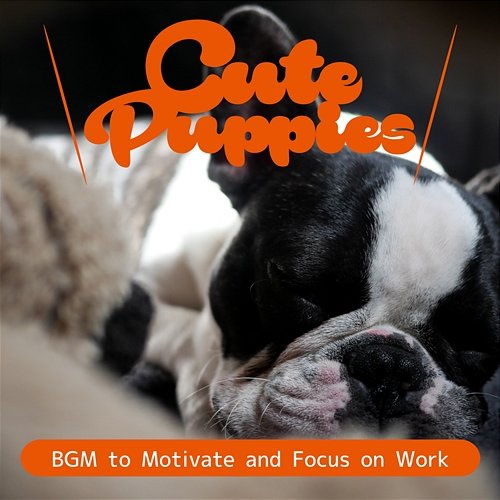 Bgm to Motivate and Focus on Work Cute Puppies