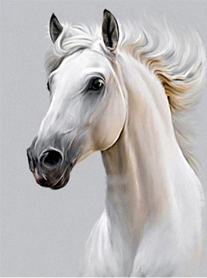 Biały Koń artnapi