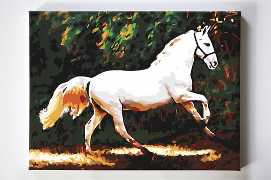 Biały koń, zwierzęta, malowanie po numerach Akrylowo
