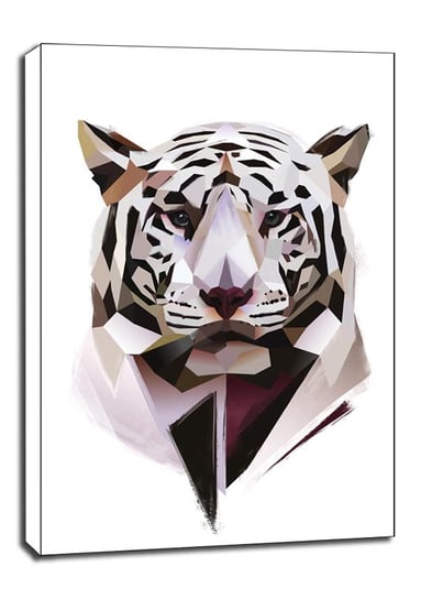 Biały Tygrys - obraz na płótnie 60x80 cm Galeria Plakatu