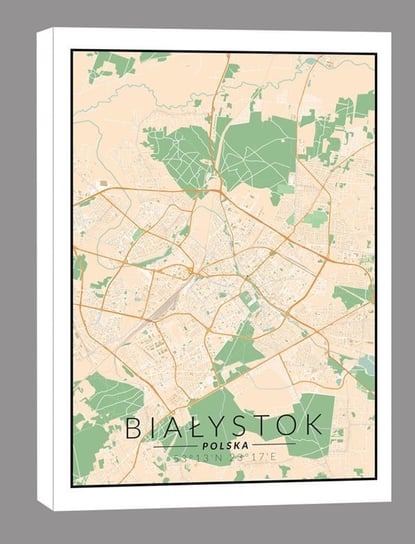 Białystok, Polska mapa kolorowa - obraz na płótnie 20x30 cm Inny producent