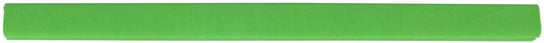 Bibuła marszczona ASTRAPAP 50*200 cm zielona jasna Astra