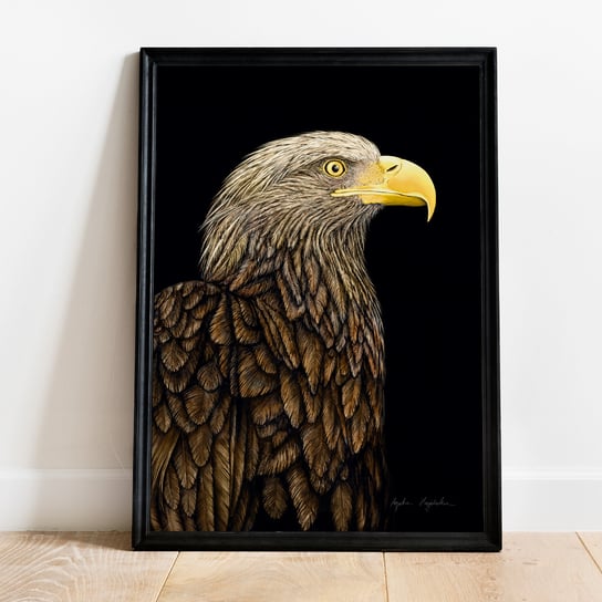 Bielik na ciemnym tle 30x40 cm, autorska ilustracja, ptaki, dekoracja, pomysł na prezent TukanMedia