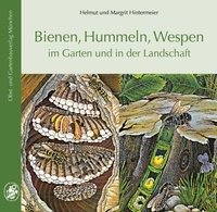 Bienen, Hummeln, Wespen im Garten und in der Landschaft Hintermeier Helmut, Hintermeier Margrit