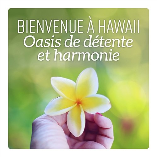 Bienvenue à Hawaii - Oasis de détente et harmonie: Musique hawaïenne, atmosphère calme pour se relaxer, bien-être et massage Académie de bien-être