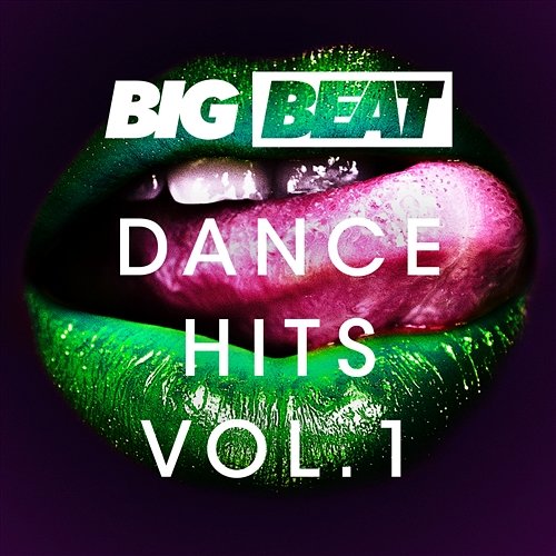 Big Beat Dance Hits: Vol 1 Various Artists