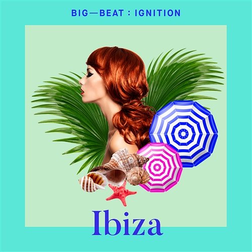 Big Beat Ignition: Ibiza Various Artists