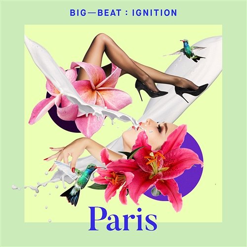 Big Beat Ignition: Paris Various Artists