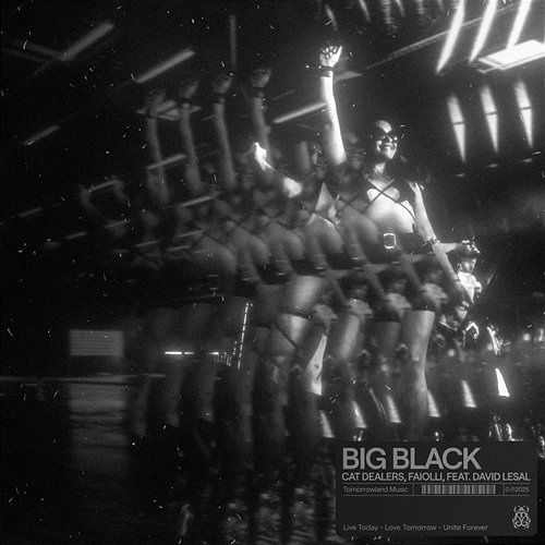 Big Black Cat Dealers, FAIOLLI feat. David LeSal