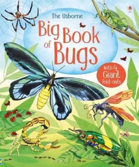 Big Book of Bugs Bone Emily