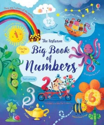 Big Book of Numbers Brooks Felicity