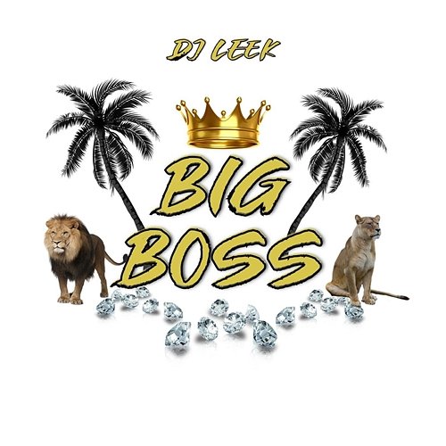 Big Boss DJ LEEK