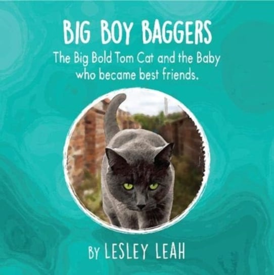 Big Boy Baggers: The Big Bold Tom Cat and the Baby Who Became Best Friends Lesley Leah