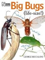 Big Bugs Life-Size Beccaloni George