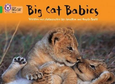 Big Cat Babies: Band 05/Green Jonathan Scott