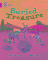 Big Cat - Buried Treasure Blunt Fred, Kerrigan Juliet