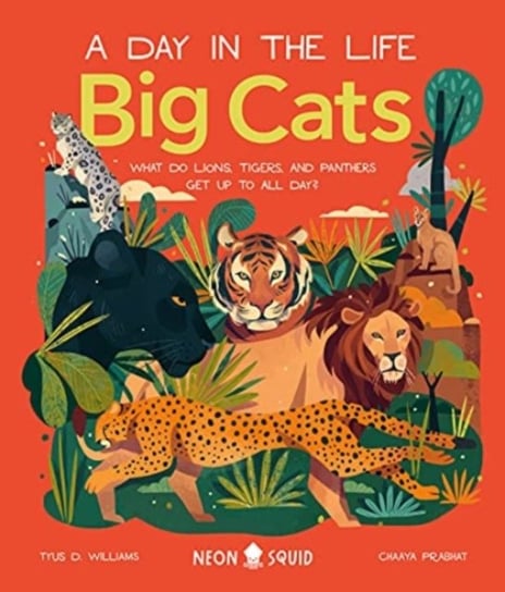 Big Cats (A Day in the Life): What Do Lions, Tigers and Panthers Get up to all day? Priddy Books