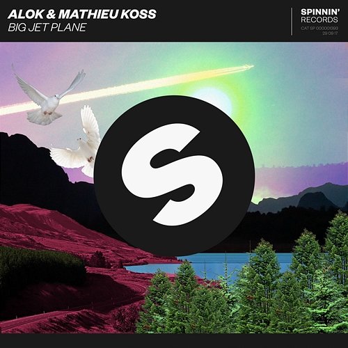 Big Jet Plane Alok & Mathieu Koss