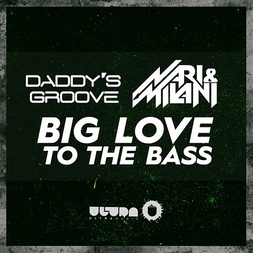 Big Love to the Bass Daddy's Groove vs. Nari & Milani