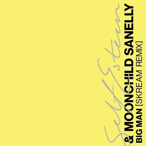 Big Man Moonchild Sanelly, Self Esteem, Skream
