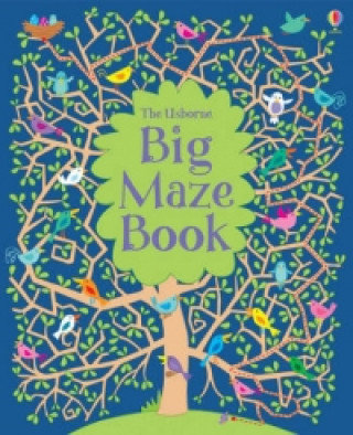 Big Maze Book Robson Kirsteen