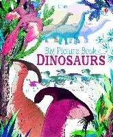 Big Picture Book Dinosaurs Cowan Laura