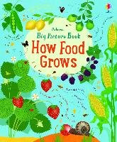 Big Picture Book How Food Grows Bone Emily