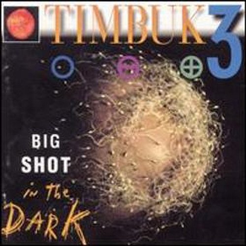 Big Shot In The Dark Timbuk 3