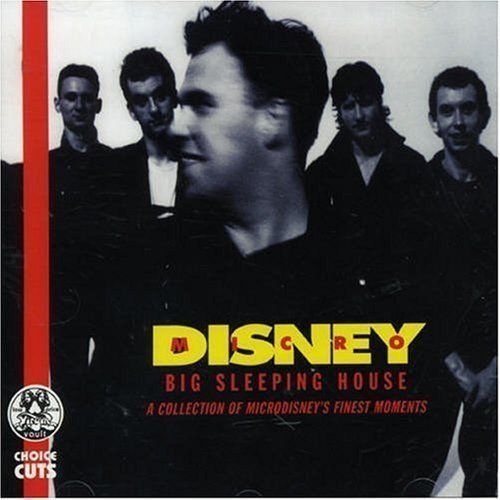 Big Sleeping House - A Collection Of Microdisney's Finest Moments Microdisney