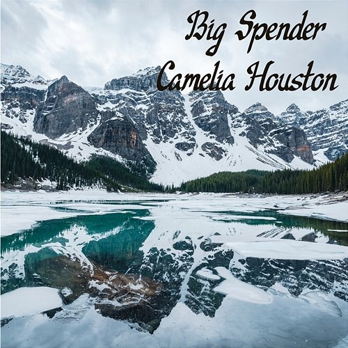 Big Spender Camelia Houston
