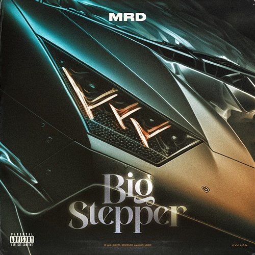 Big Stepper MRD