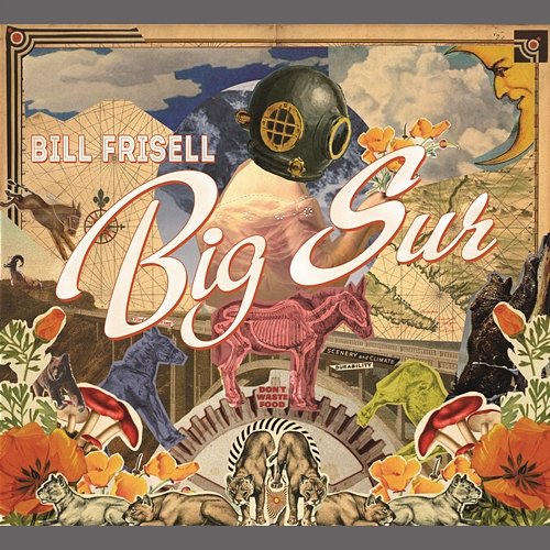 Big Sur Bill Frisell