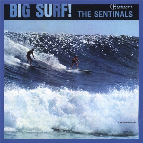 Big Surf The Sentinals