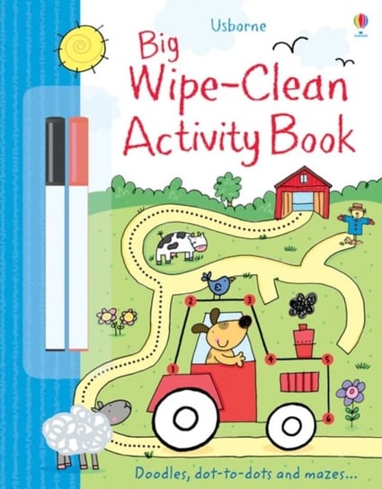 Big Wipe Clean Activity Book Taplin Sam