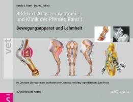 Bild-Text-Atlas zur Anatomie und Klinik des Pferdes Riegel Ronald J., Hakola Susan E.