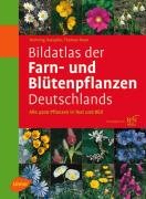 Bildatlas der Farn- und Blütenpflanzen Deutschlands Haeupler Henning, Muer Thomas