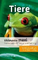Bildimpulse maxi: Tiere Pack Bodo