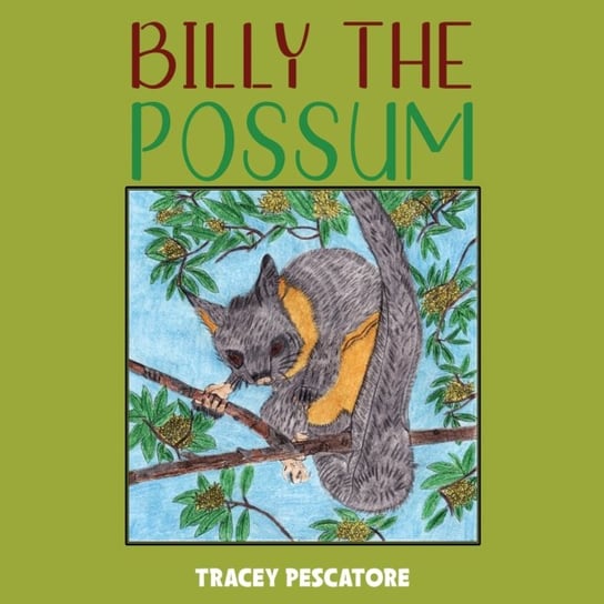 Billy the Possum Tracey Pescatore