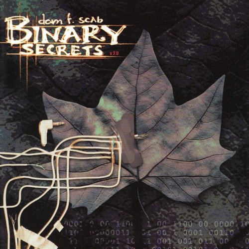 Binary Secrets Dom F. Scab