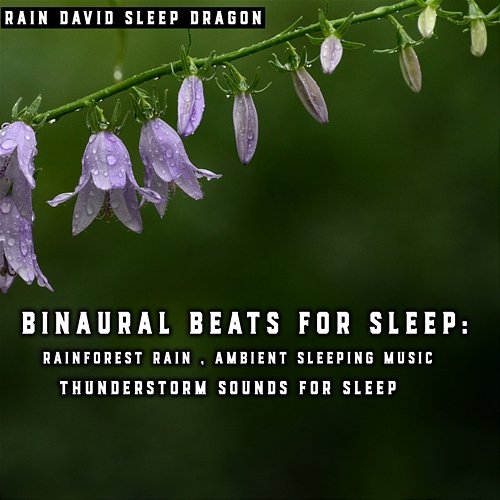 Binaural Beats for Sleep: Rainforest Rain , Ambient Sleeping Music , Thunderstorm Sounds for Sleep Rain David Sleep Dragon