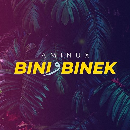 Bini W Binek Aminux
