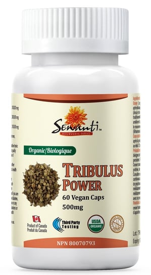 Bio Tribulus Power 60 V-kaps. (Buzdyganek) Testosteron, Witalność, Pamięć & Regeneracja Sewanti