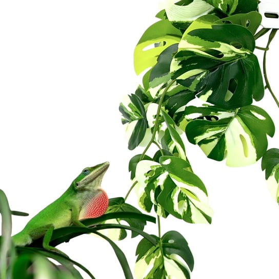 Biobush No3 Roślina Sztuczna Tropikalna Do Terrarium Monstera Variegata Inna marka