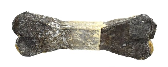 Biofeed Esp Cod Skin Bone Fish - Kość Ze Skórą Dorsza Biofeed