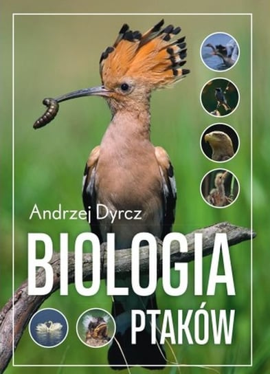 Biologia ptaków Andrzej Dyrcz