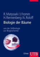 Biologie der Bäume Fromm Jorg, Matyssek Rainer, Rennenberg Heinz