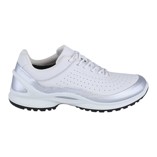 Biom Energi Ecco