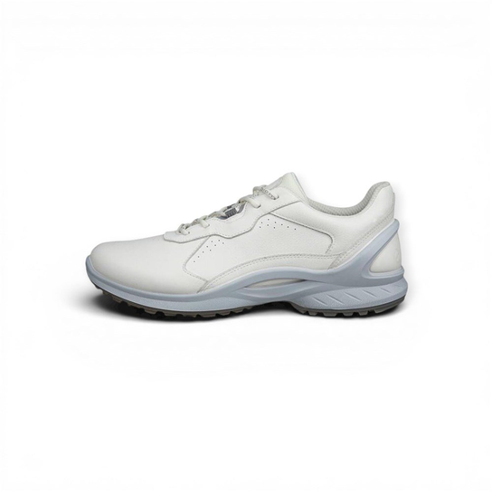 Biom Energi Ecco