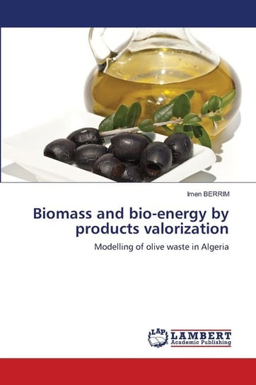 Biomass and bio-energy by products valorization BERRIM Imen